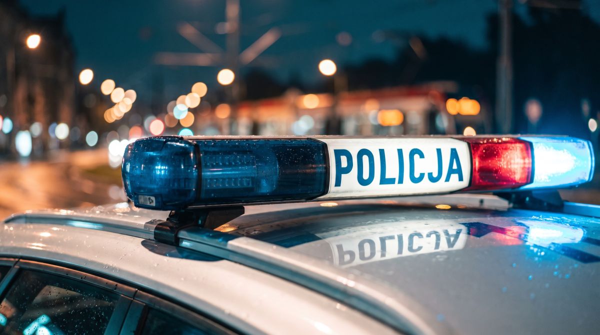 Kolekcjonował klocki LEGO w sklepach – 48-latek zatrzymany za 25 kradzieży