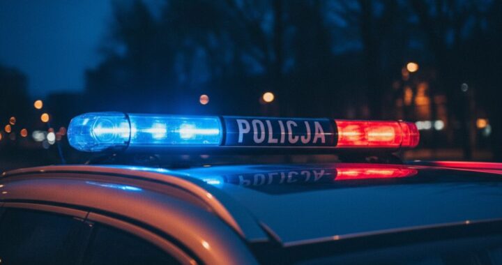 jak-nazwa---naszego-wilczka--zapraszamy-przedszkol-auto-6943